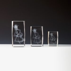 Stiklinis apdovanojimas 67620