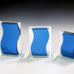 Stiklinis apdovanojimas  67190