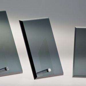 Stiklinis apdovanojimas  66927