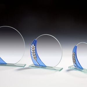 Stiklinis apdovanojimas  67196