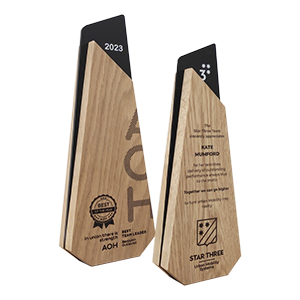 Nestandartinis apdovanojimas AZ022