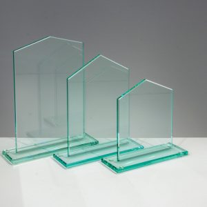 Stiklinis apdovanojimas  66827