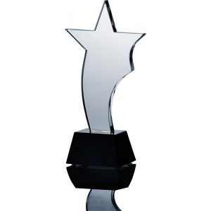 Stiklinis apdovanojimas C035