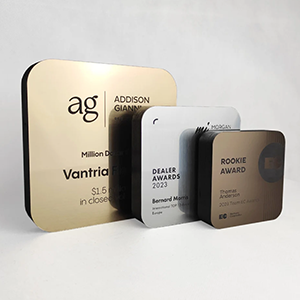 Nestandartinis apdovanojimas SH009