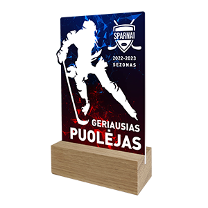 Nestandartiniai apdovanojimai EK001-3