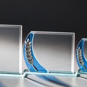 Stiklinis apdovanojimas 66917