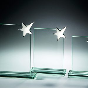 Stiklinis apdovanojimas  65561