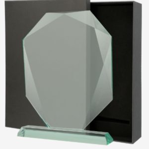 Stiklinis apdovanojimas G042