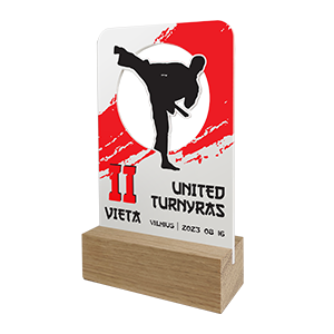 Nestandartiniai apdovanojimai EK001-1