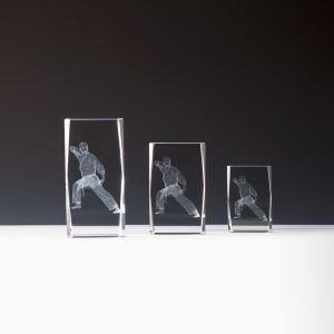 Stiklinis apdovanojimas 67602