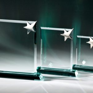 Stiklinis apdovanojimas  66521