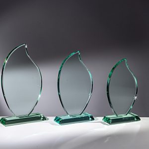 Stiklinis apdovanojimas  65521