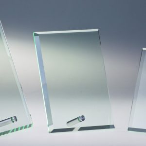 Stiklinis apdovanojimas  66921