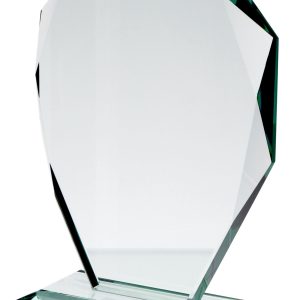 Stiklinis apdovanojimas G007