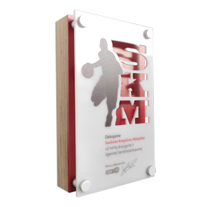 Nestandartinis apdovanojimas VA001