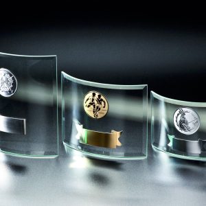 Stiklinis apdovanojimas  66481