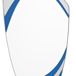 Stiklinis apdovanojimas W551.09