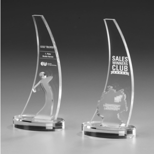 Acrylic Trophy 73506 (220mm)