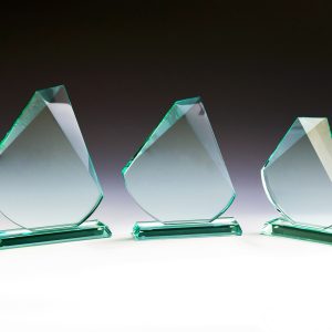 Stiklinis apdovanojimas  68016