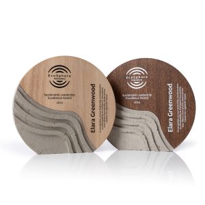 Ąžuolo ir betono harmonija CN010