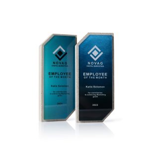 "Mėlynoji sintezė" apdovanojimas CN009