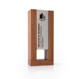 Betoninis pasiekimų apdovanojimas CN001