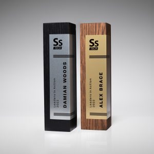 "Solidus vientisumo simbolis" apdovanojimas AZ034